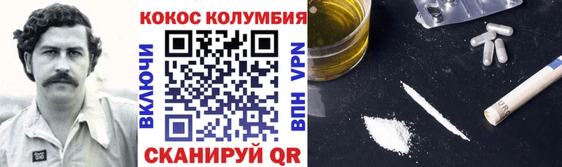 Cocaine FishScale  Купить закладки  Александровское 