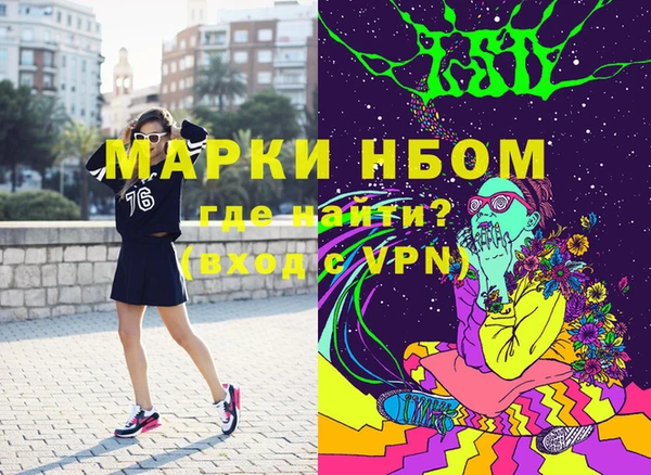 хмурый Бородино