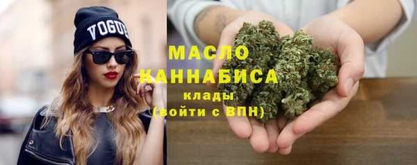 хмурый Бородино