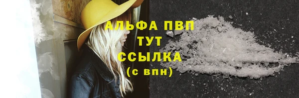 хмурый Бородино