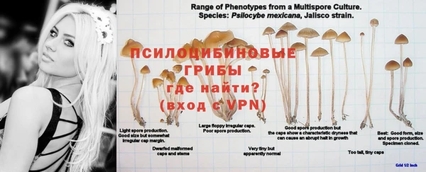 хмурый Бородино
